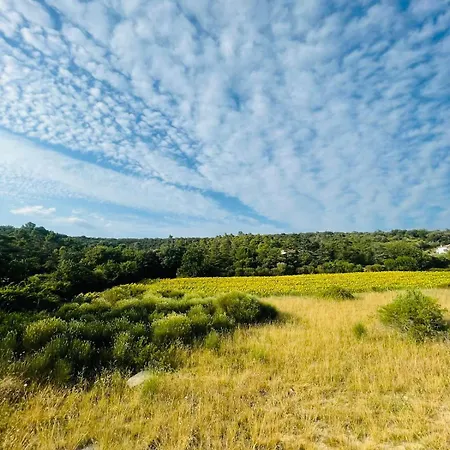 Sud La Cigale Des Bois De Maruejols