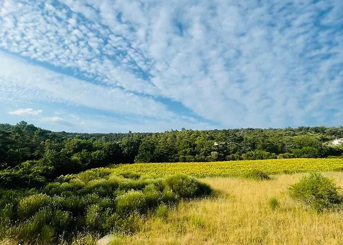 Sud La Cigale Des Bois De Maruejols