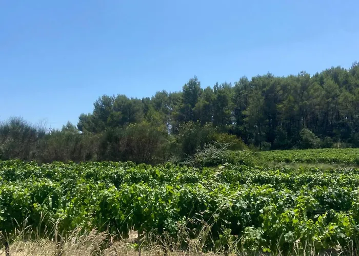 别墅 Sud La Cigale Des Bois De Maruejols *